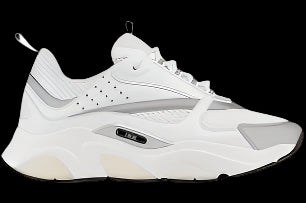 Dior b22
